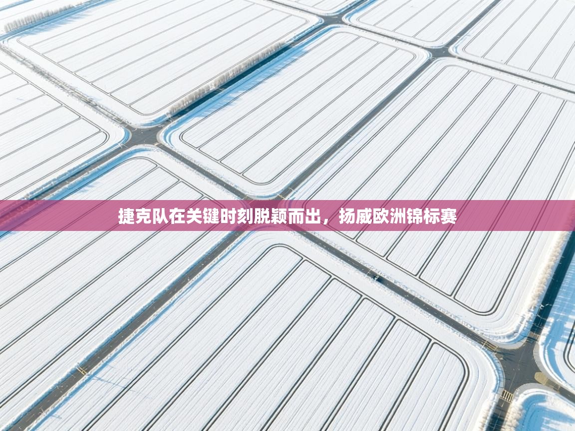 捷克队在关键时刻脱颖而出,扬威欧洲锦标赛 第2张