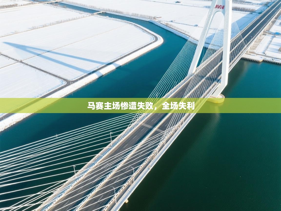 马赛主场惨遭失败,全场失利 第2张