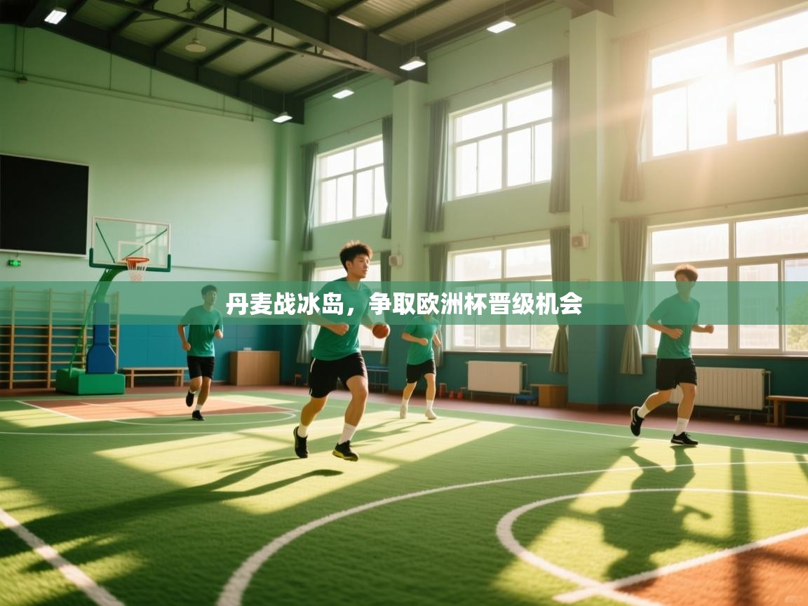 丹麦战冰岛，争取欧洲杯晋级机会  第2张