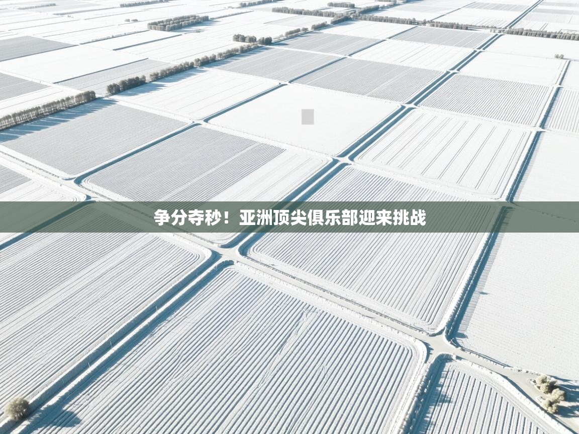 争分夺秒！亚洲顶尖俱乐部迎来挑战  第1张