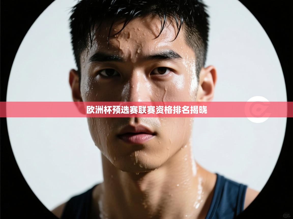 欧洲杯预选赛联赛资格排名揭晓  第1张