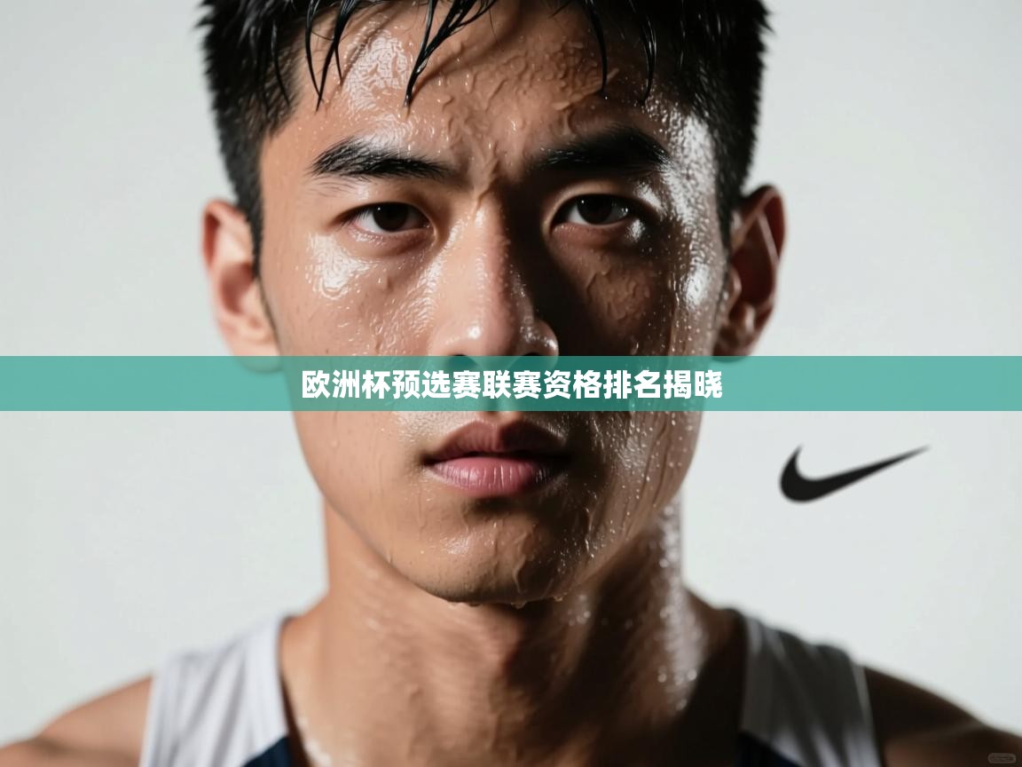 欧洲杯预选赛联赛资格排名揭晓  第2张