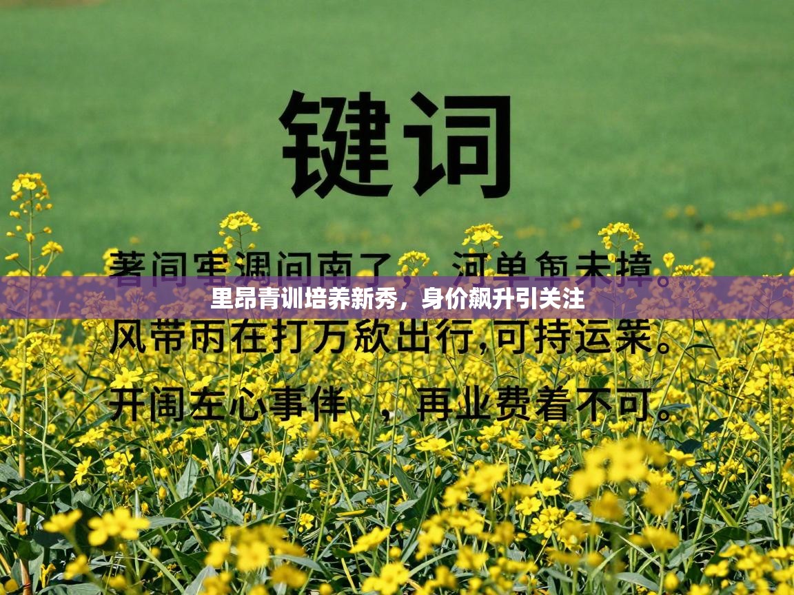 里昂青训培养新秀,身价飙升引关注 第1张