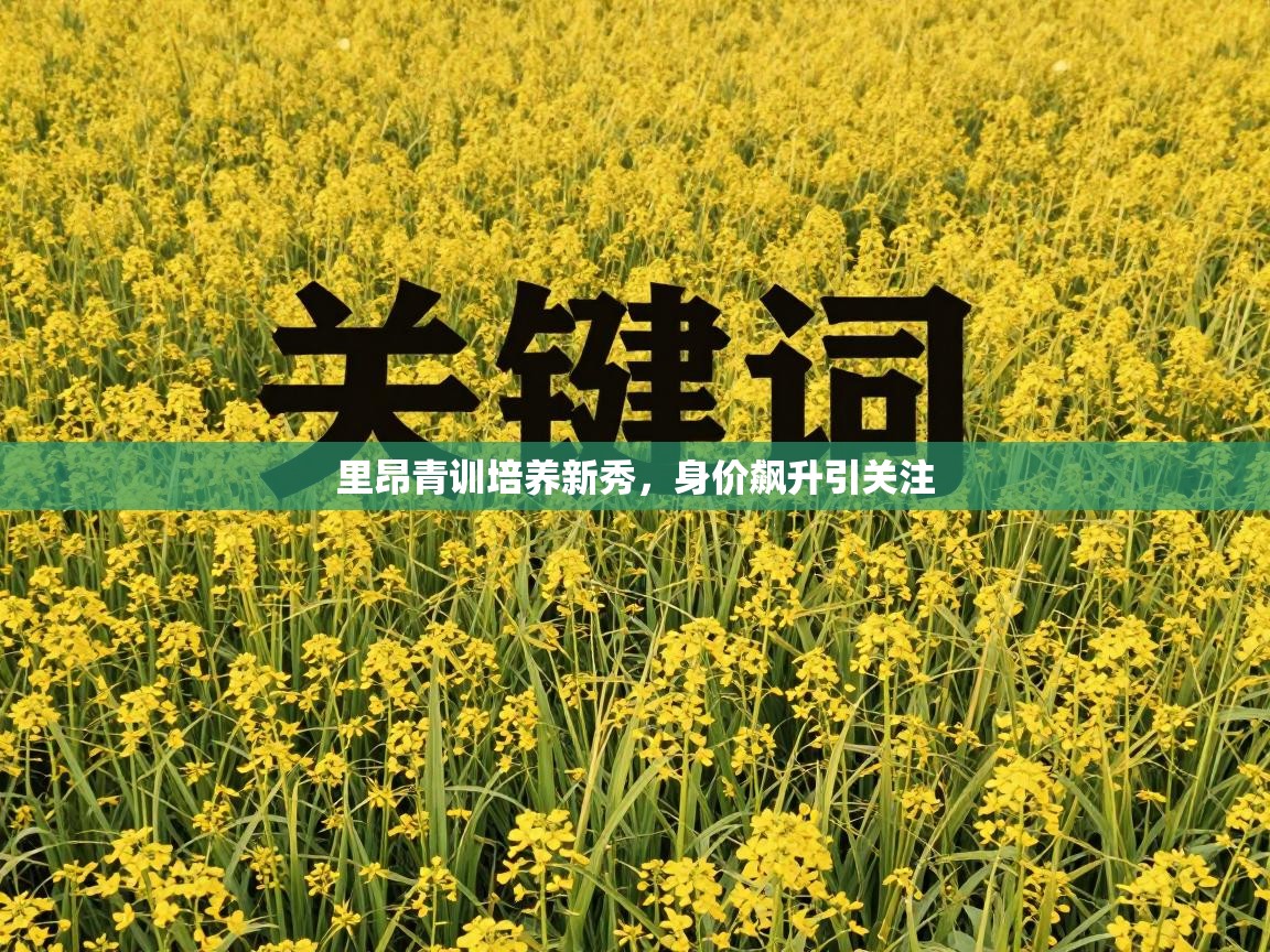 里昂青训培养新秀,身价飙升引关注 第2张