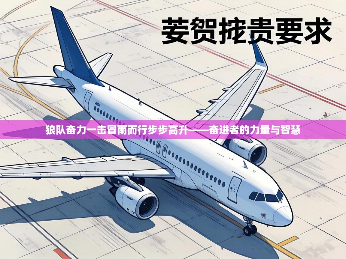 狼队奋力一击冒雨而行步步高升——奋进者的力量与智慧  第1张