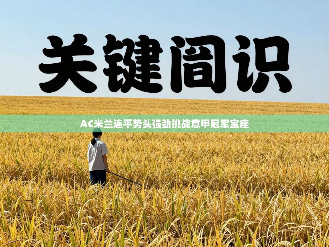 AC米兰连平势头强劲挑战意甲冠军宝座 第2张